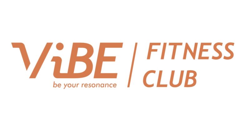 vibe logo